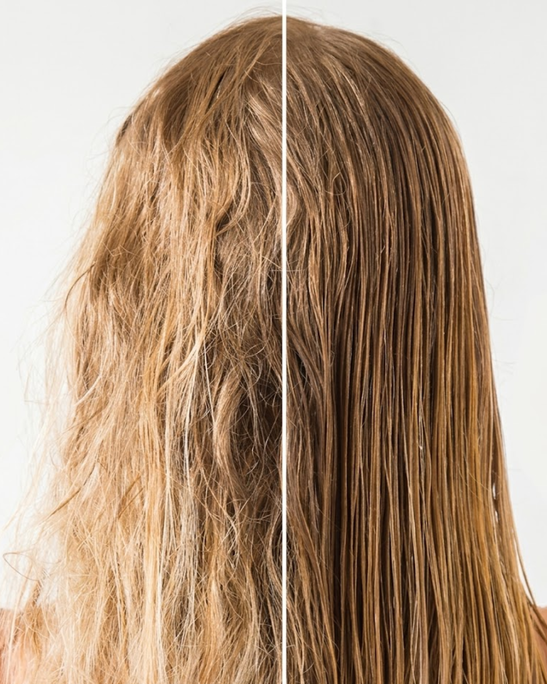  before and after